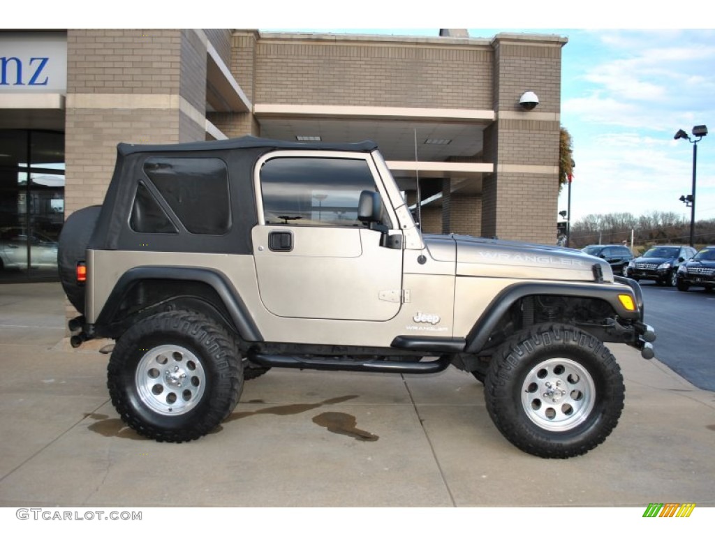 2004 Wrangler X 4x4 - Light Khaki Metallic / Dark Slate Gray photo #8