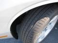 Bright Silver Metallic - Challenger SXT Photo No. 10