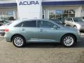 Aloe Green Metallic - Venza I4 Photo No. 7