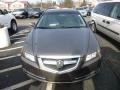 Carbon Bronze Metallic - TL 3.2 Photo No. 2