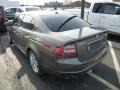 Carbon Bronze Metallic - TL 3.2 Photo No. 3