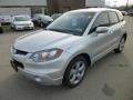 Alabaster Silver Metallic - RDX  Photo No. 3