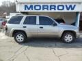 Light Pewter Metallic 2002 Chevrolet TrailBlazer LT 4x4