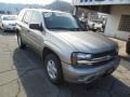 Light Pewter Metallic - TrailBlazer LT 4x4 Photo No. 2
