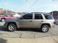 Light Pewter Metallic - TrailBlazer LT 4x4 Photo No. 5