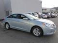 Iridescent Silver Blue Pearl - Sonata GLS Photo No. 3