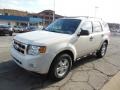 2010 White Suede Ford Escape XLT V6  photo #4