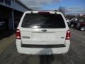 2010 White Suede Ford Escape XLT V6  photo #7