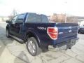 Blue Jeans Metallic - F150 Limited SuperCrew 4x4 Photo No. 6