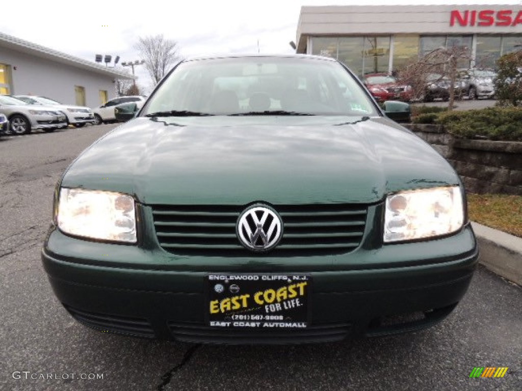 1999 Jetta GLS Sedan - Bright Green Pearl / Beige photo #2