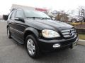 Black - ML 350 4Matic Photo No. 1