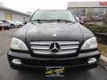 Black - ML 350 4Matic Photo No. 2