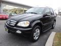Black - ML 350 4Matic Photo No. 3