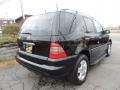 Black - ML 350 4Matic Photo No. 4