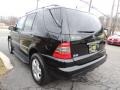 Black - ML 350 4Matic Photo No. 7