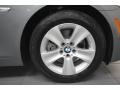 2012 Space Gray Metallic BMW 5 Series 528i Sedan  photo #9