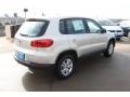 White Gold Metallic - Tiguan S Photo No. 8