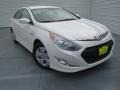 Porcelain White Pearl - Sonata Hybrid Photo No. 1