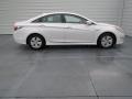 Porcelain White Pearl - Sonata Hybrid Photo No. 2