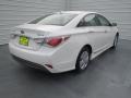 Porcelain White Pearl - Sonata Hybrid Photo No. 3