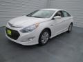 Porcelain White Pearl - Sonata Hybrid Photo No. 6