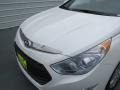 Porcelain White Pearl - Sonata Hybrid Photo No. 9