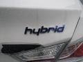 Porcelain White Pearl - Sonata Hybrid Photo No. 15