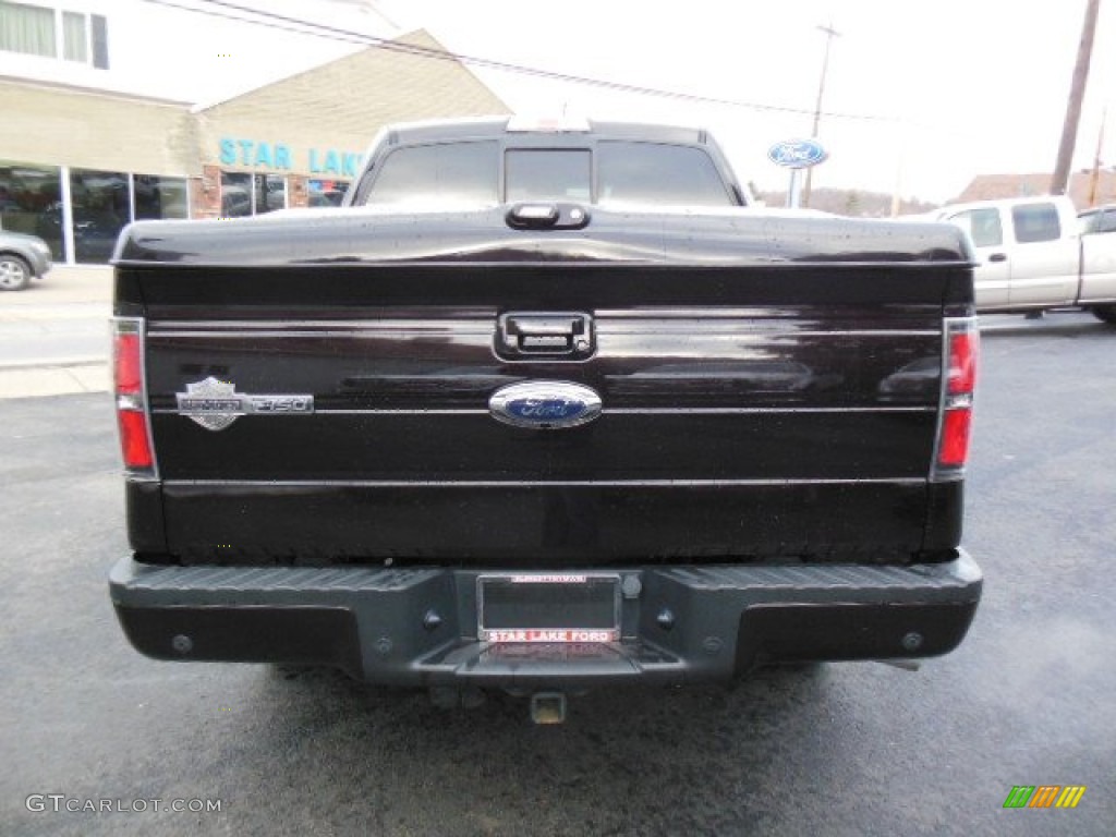 2010 F150 Harley-Davidson SuperCrew 4x4 - Lava Red Metallic / Harley Davidson Lava Red/Black photo #5