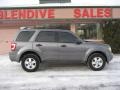 2010 Sterling Grey Metallic Ford Escape XLT Sport Package 4WD  photo #2