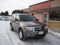 2010 Sterling Grey Metallic Ford Escape XLT Sport Package 4WD  photo #3