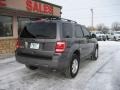 2010 Sterling Grey Metallic Ford Escape XLT Sport Package 4WD  photo #5