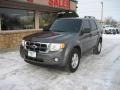 2010 Sterling Grey Metallic Ford Escape XLT Sport Package 4WD  photo #11