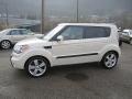 Dune Beige 2010 Kia Soul ! Exterior