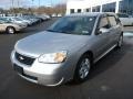 2007 Silverstone Metallic Chevrolet Malibu Maxx LT Wagon  photo #7