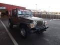 2004 Light Khaki Metallic Jeep Wrangler SE 4x4  photo #7