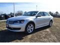 Reflex Silver Metallic - Passat 2.5L SE Photo No. 1
