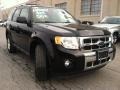 2009 Black Ford Escape Limited V6 4WD  photo #3