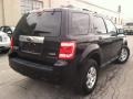 2009 Black Ford Escape Limited V6 4WD  photo #5