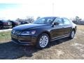 2013 Black Volkswagen Passat 2.5L SEL  photo #1