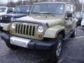 Commando Green - Wrangler Unlimited Sahara 4x4 Photo No. 1