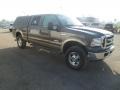 Dark Stone Metallic - F250 Super Duty Lariat FX4 Crew Cab 4x4 Photo No. 7