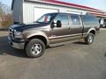 Dark Stone Metallic - F250 Super Duty Lariat FX4 Crew Cab 4x4 Photo No. 8