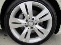 2009 Mercedes-Benz CLS 550 Wheel and Tire Photo