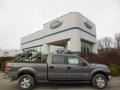 Sterling Gray Metallic 2013 Ford F150 XL SuperCrew 4x4