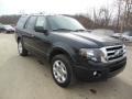 2013 Tuxedo Black Ford Expedition Limited 4x4  photo #2