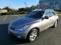 Platinum Graphite - EX 35 Journey AWD Photo No. 11