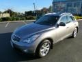 2010 Platinum Graphite Infiniti EX 35 Journey AWD  photo #11