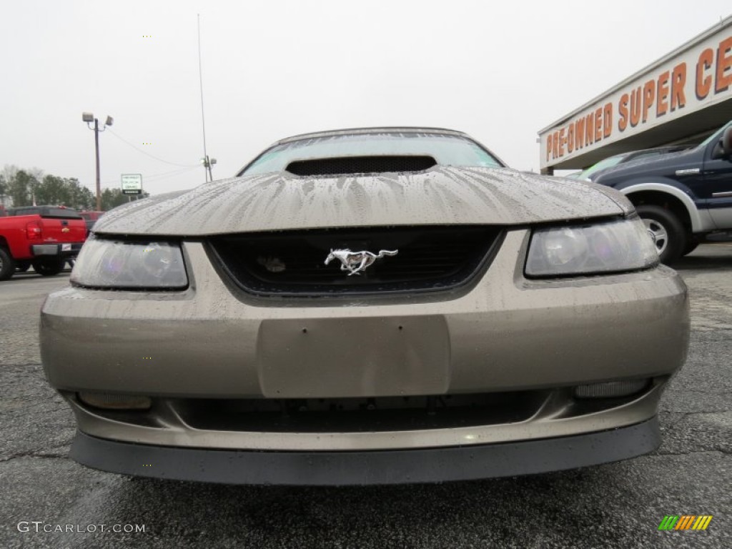 2001 Mustang GT Convertible - Mineral Grey Metallic / Medium Parchment photo #2