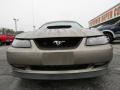 2001 Mineral Grey Metallic Ford Mustang GT Convertible  photo #2