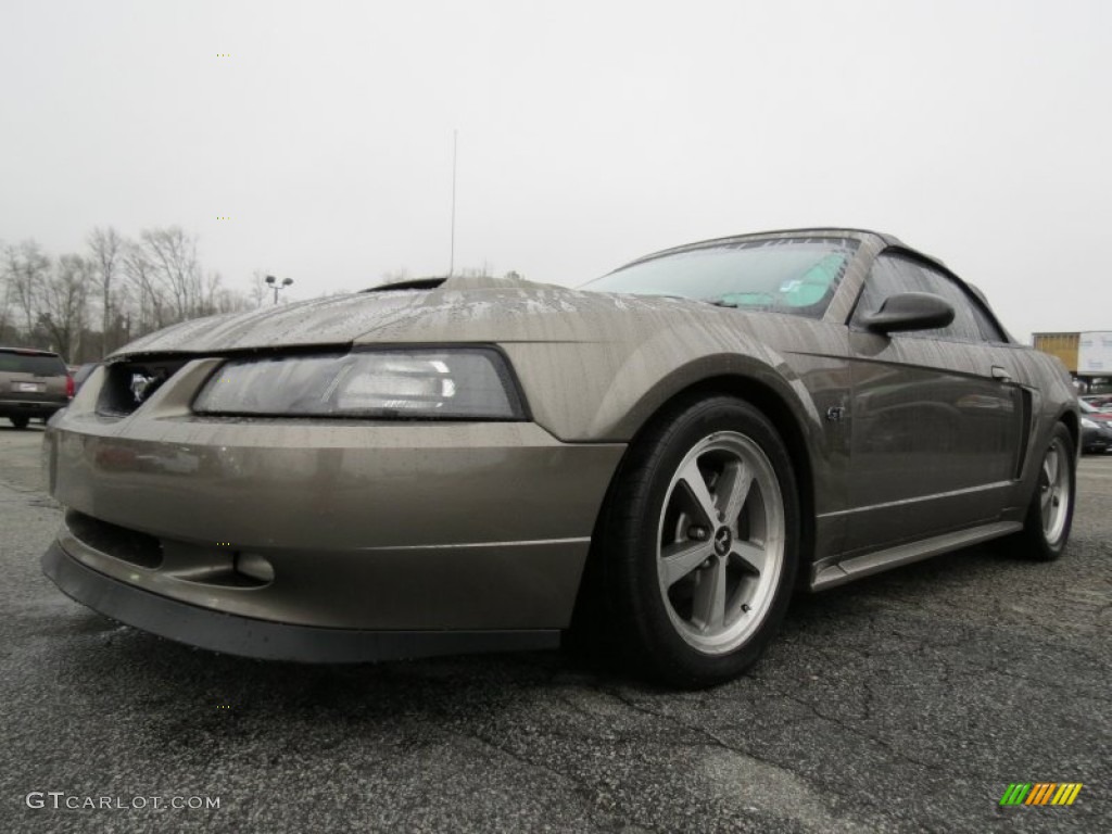 2001 Mustang GT Convertible - Mineral Grey Metallic / Medium Parchment photo #3